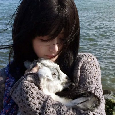 紫罗兰永恒花园 剧场版